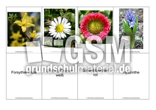 Blumen-Memo-Aufdeckspiel-1.pdf